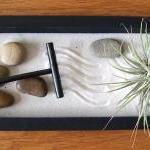 Tillandsia - SALE - 3 dolla..