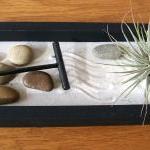 Tillandsia - SALE - 3 dolla..