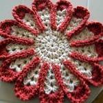 Chrysanthemum Dishcloth or ..
