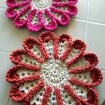 Chrysanthemum Dishcloth or ..